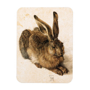 Albrecht Durer Young Hare Magnet