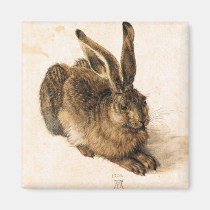 Albrecht Durer Young Hare Magnet