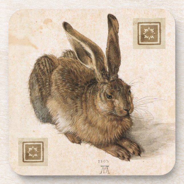 Albrecht Durer Young Hare Painting Coaster (Front)
