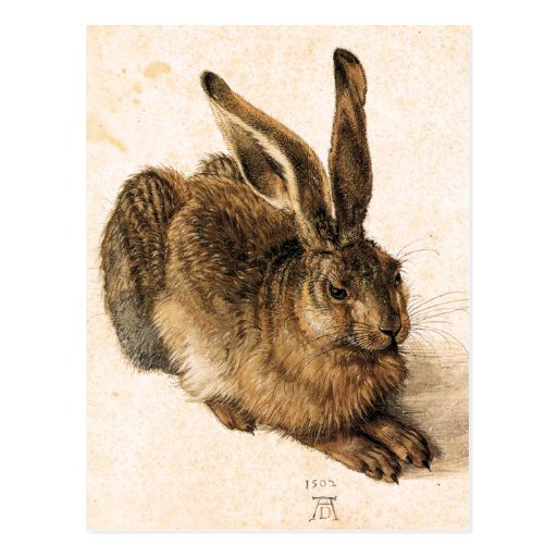 Image of Albrecht Durer Young Hare Postcard