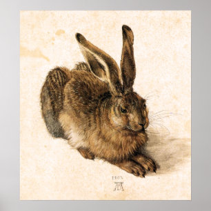 Albrecht Durer Young Hare Poster