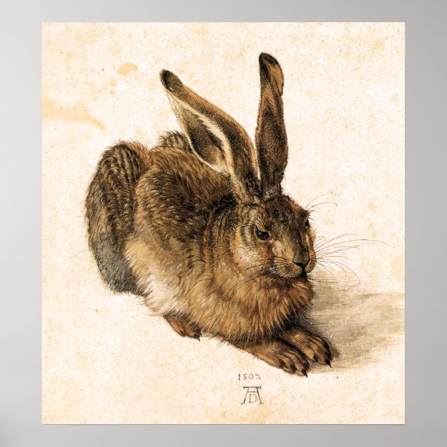 Albrecht Durer Young Hare Poster (Front)