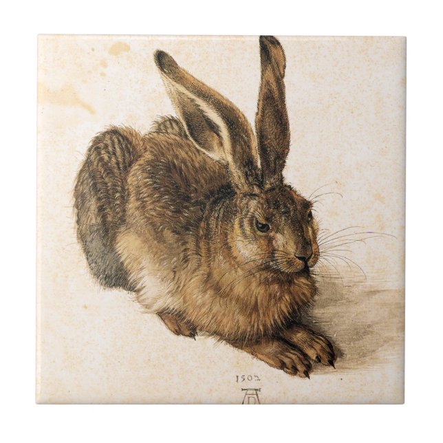 Albrecht Durer Young Hare Tile (Front)