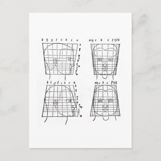 Albrecht Dürer's study of human proportions Postcard (Front)