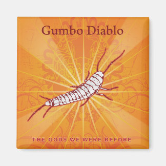 Album Cover Magnet