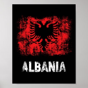 Albynian Patriot Albynia Independence Day Albynian Poster