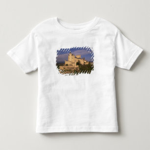 Alcazar and Cathedral, Segovia, Castile Leon, Toddler T-Shirt