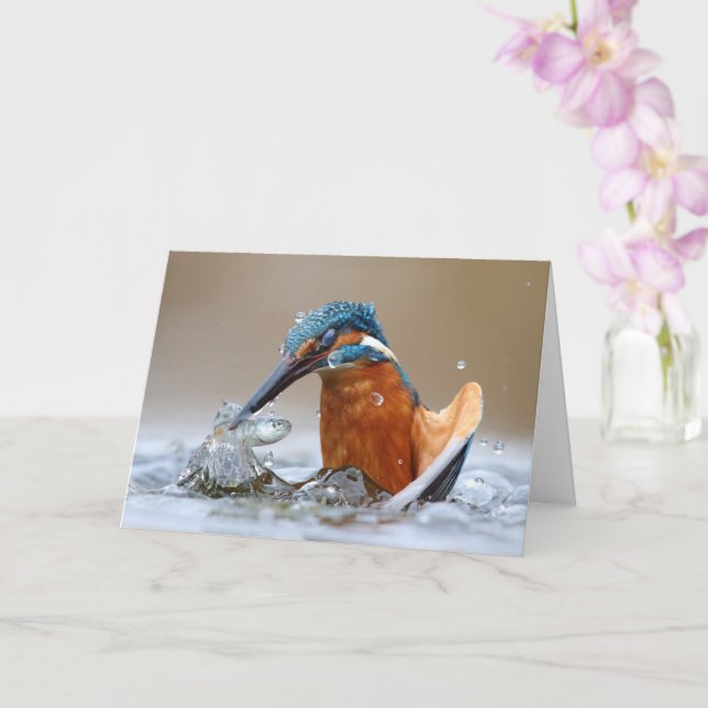 Alcedo Atthis Kingfisher hunting water Luca Casale Card (Orchid)