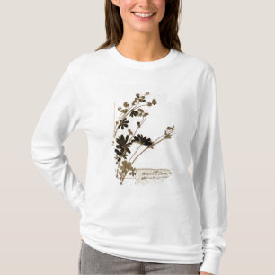 Alchemilla, from a Herbarium T-Shirt