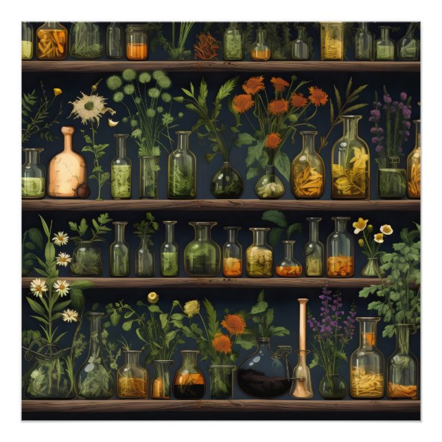 Alchemist Herbarium Shelf Photo Print (Front)