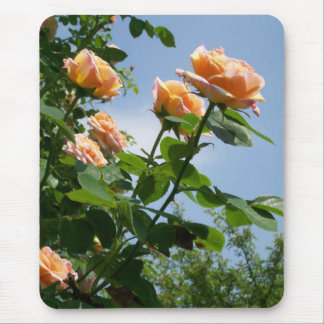 'Alchemist' Rose Mousepad