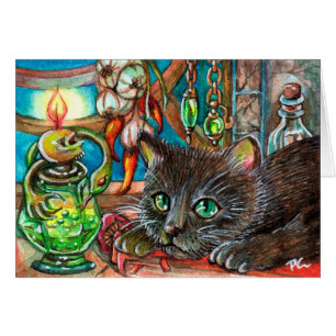 Alchemist's Cat