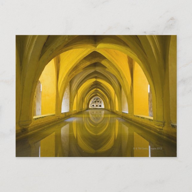 AlcÌÁzar of Seville, Seville Province, Spain Postcard (Front)