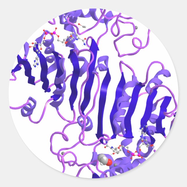 Alcohol dehydrogenase classic round sticker (Front)