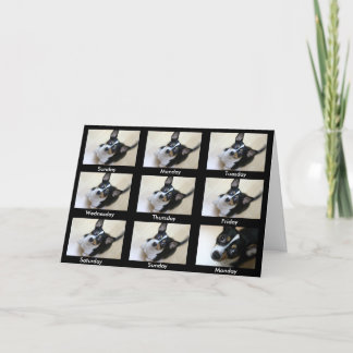 Alcoholics Anonymous "Keep coming back..." Card