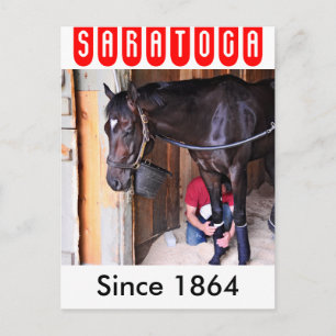 Alcolite- Horse Haven Barns at Saratoga Postcard