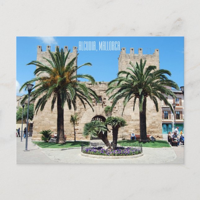Alcudia, Mallorca Holiday Postcard (Front)
