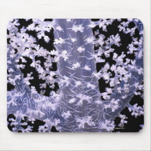 Alcyonarian Coral (Dendronephthya sp.) Mouse Mat