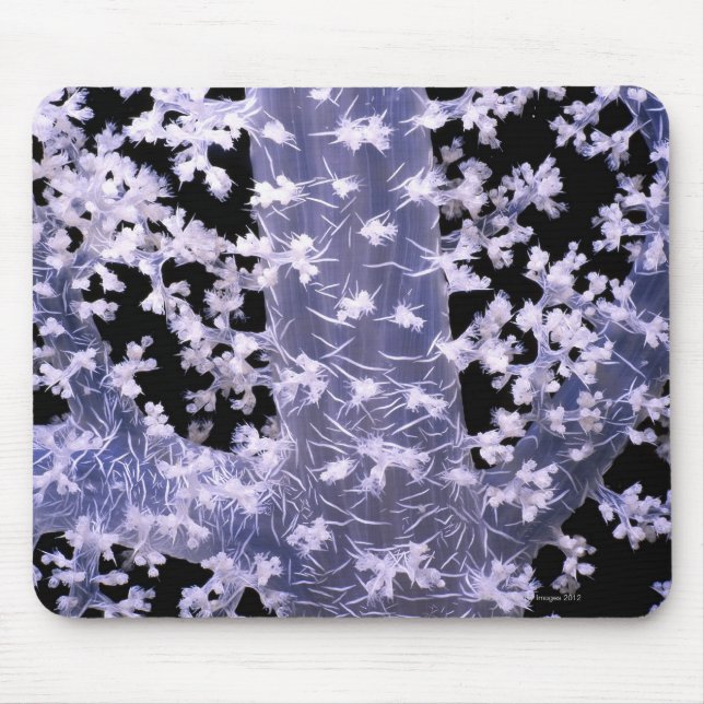Alcyonarian Coral (Dendronephthya sp.) Mouse Mat (Front)