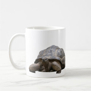 Aldabra giant tortoise coffee mug