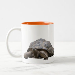 Aldabra giant tortoise Two-Tone coffee mug