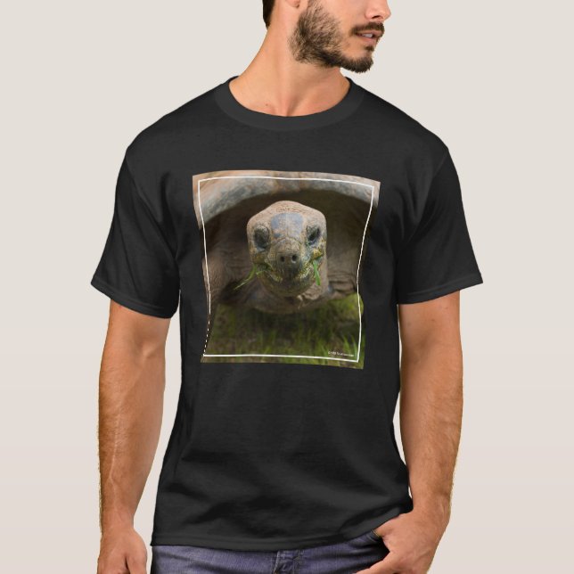 Aldabra Tortoise Feeding T-Shirt (Front)