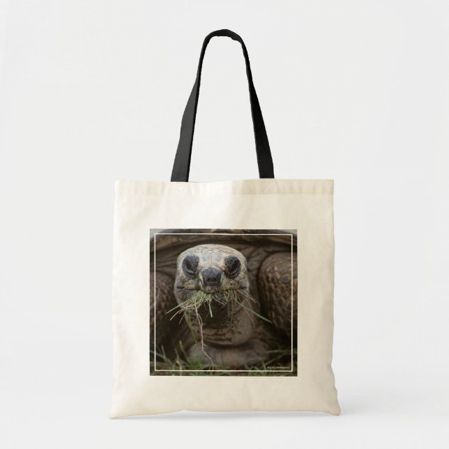 Aldabra Tortoise Grazing Tote Bag (Front)