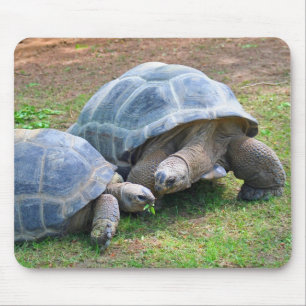 Aldabra Tortoises Mousepad