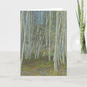 Alder Trees - Frameable Art Card