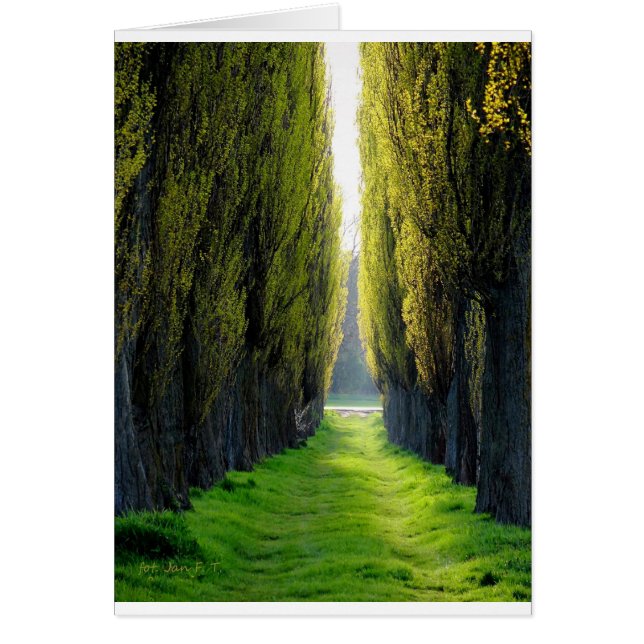 ALEJAWroclaw Poland (Front)