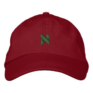 Aleph Embroidered Hat