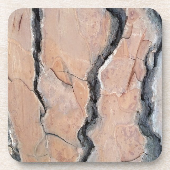 Aleppo pine coaster (Front)