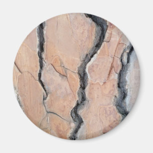 Aleppo pine magnet