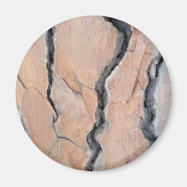 Aleppo pine magnet (Front)