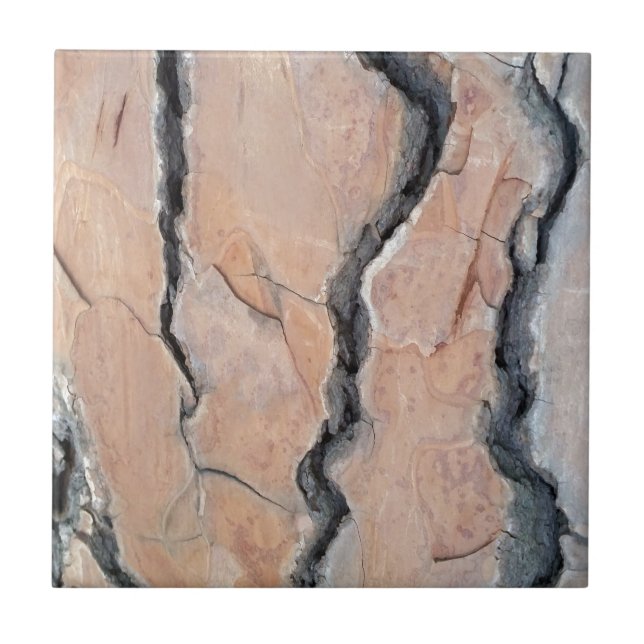 Aleppo pine tile (Front)