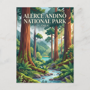 Alerce Andino National Park Chile Postcard