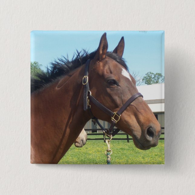 Alert Arab Horse Pin (Front)