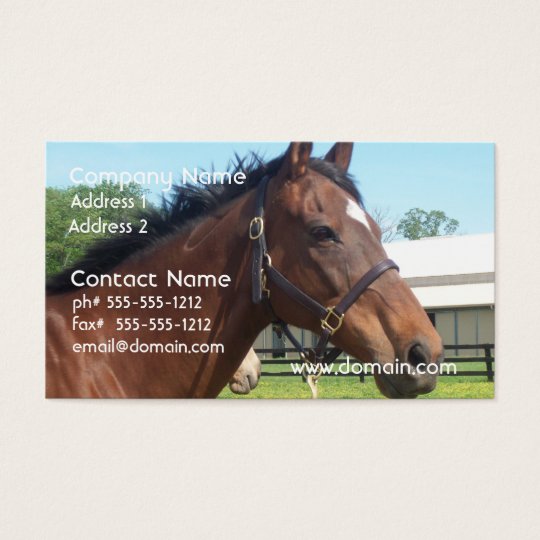 Alert Arabian Horse Business Card