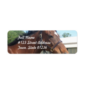 Alert Arabian Horse Return Address Mailing Label