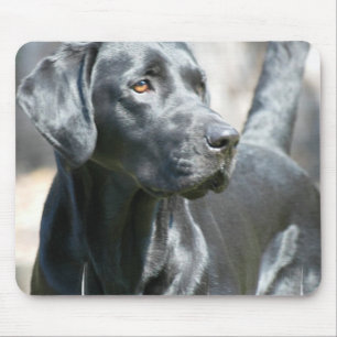 Alert Black Lab Mouse Pad