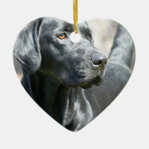 Alert Black Labrador Rertriever Dog Ornament