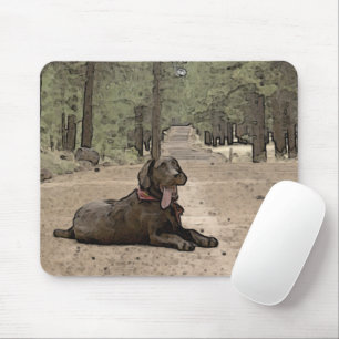 Alert Chocolate Lab On A Forest Trail Mouse Mat