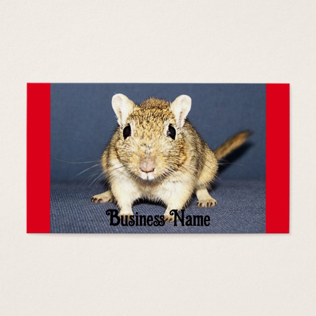 Alert Gerbil Business Card (Front)