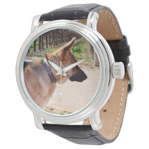 Alert German Shepherd On Guard Duty,    Watch