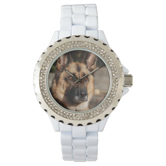 Alert German Shepherd Watch (Front)