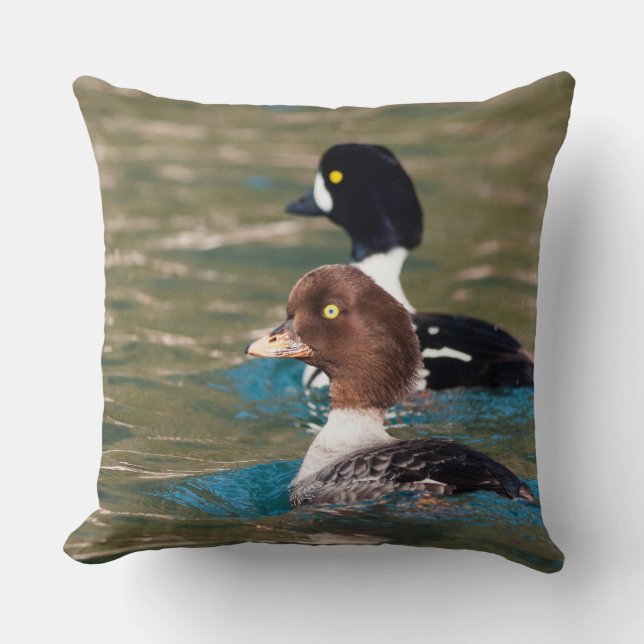 Alert Goldeneye Cushion (Front)