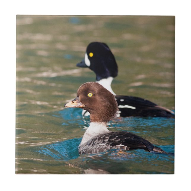 Alert Goldeneye Tile (Front)