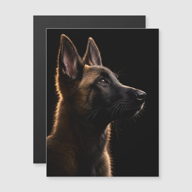 Alert Guardian (Front/Back)