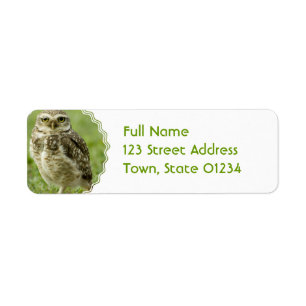 Alert Owl Address Labels