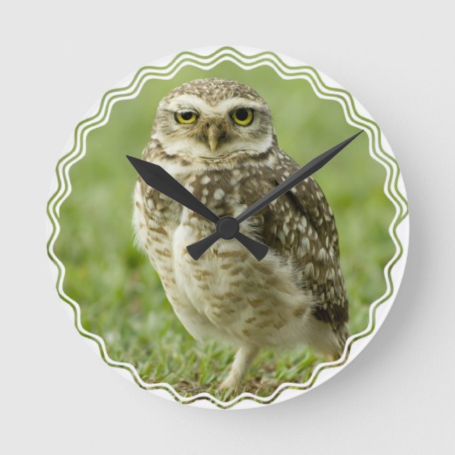 Alert Owl Clock (Front)